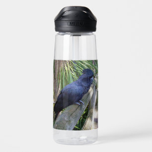 Bouteille D'eau Plumes noires : Perroquet noir australien