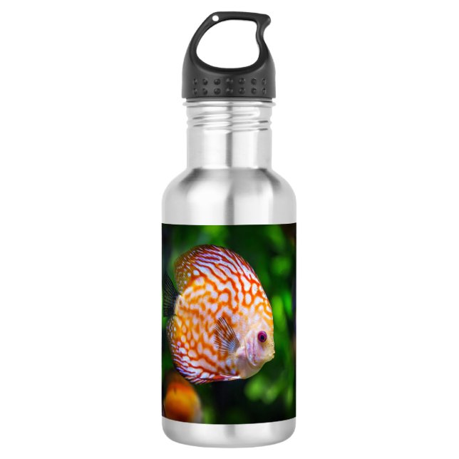 Bouteille D'eau Poisson Discus (Devant)
