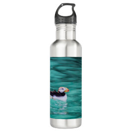 Bouteille D'eau Puffin Dans La Baie De Résurrection, Alaska