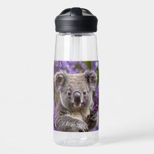 Bouteille D'eau Purple Jacaranda Koala Ours,