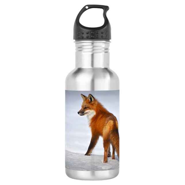 Bouteille D'eau Renard rouge en hiver (Devant)