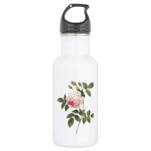 Bouteille D'eau rose de thé (Rosa indica) par Redouté