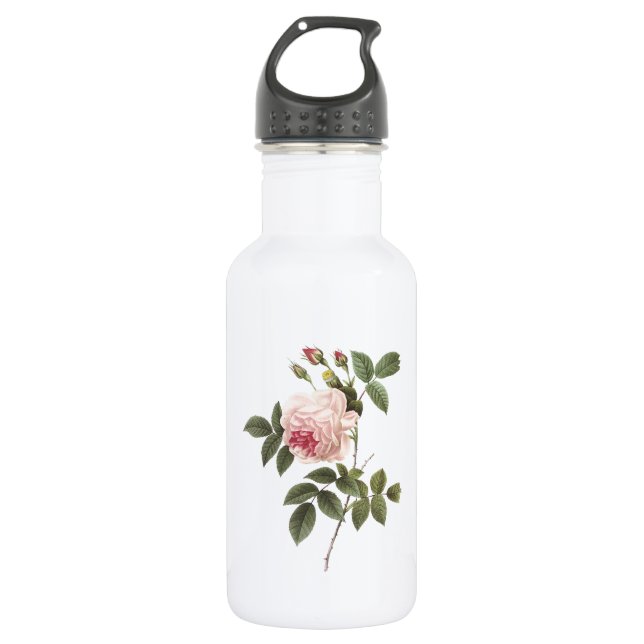 Bouteille D'eau rose de thé (Rosa indica) par Redouté (Devant)