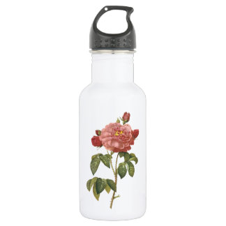 Bouteille D'eau rose d'Orléans par Redouté