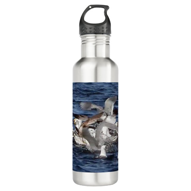 Bouteille D'eau Seagull Nourrir Frenzy (Devant)