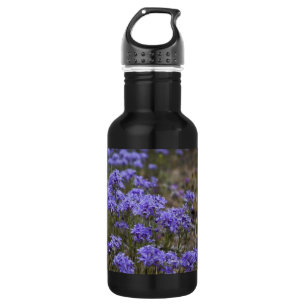 Bouteille D'eau Sept chênes