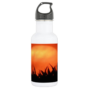 Bouteille D'eau Soleil rouge derrière l'herbe noire
