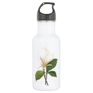 Bouteille D'eau soucoupe magnolia (Magnolia soulangiana) par Redou