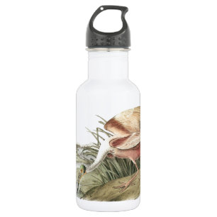 Bouteille D'eau Spoonbill de roseate par Audubon