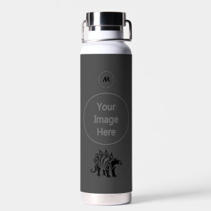 Bouteille D'eau Storm Grey Stegosaurus Spirit Dinosaur