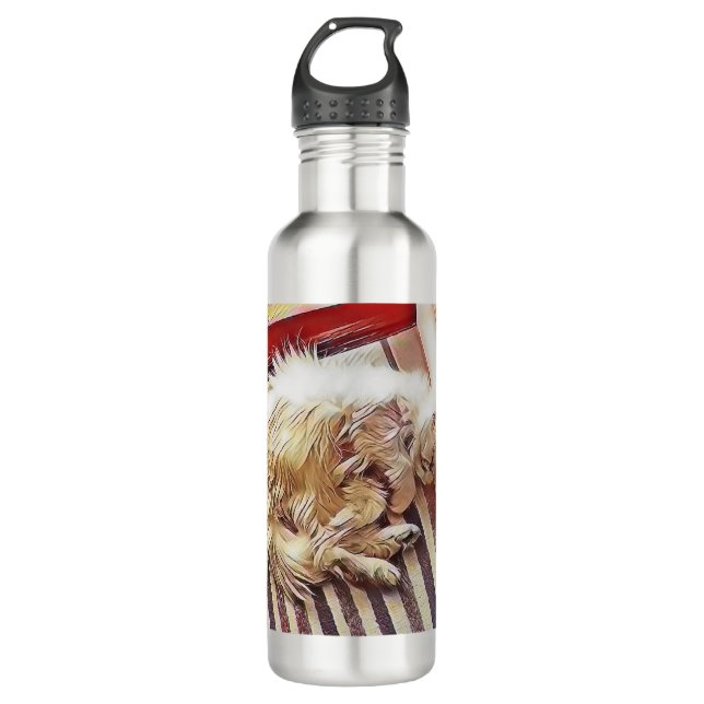 Bouteille D'eau Sunshine Charlie Persian Chat Merchandise (Devant)