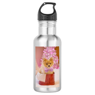 Bouteille D'eau Sympa Chien de Noël avec Bow Rose Photo