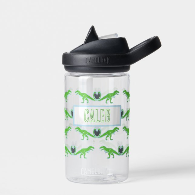 Bouteille D'eau T Rex Dinosaur Personnalisé (Gauche)
