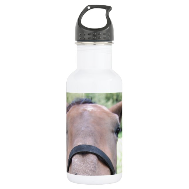 Bouteille D'eau Tête de cheval (Devant)