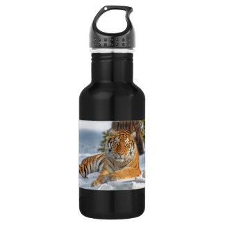 Bouteille D'eau Tigre dans la neige