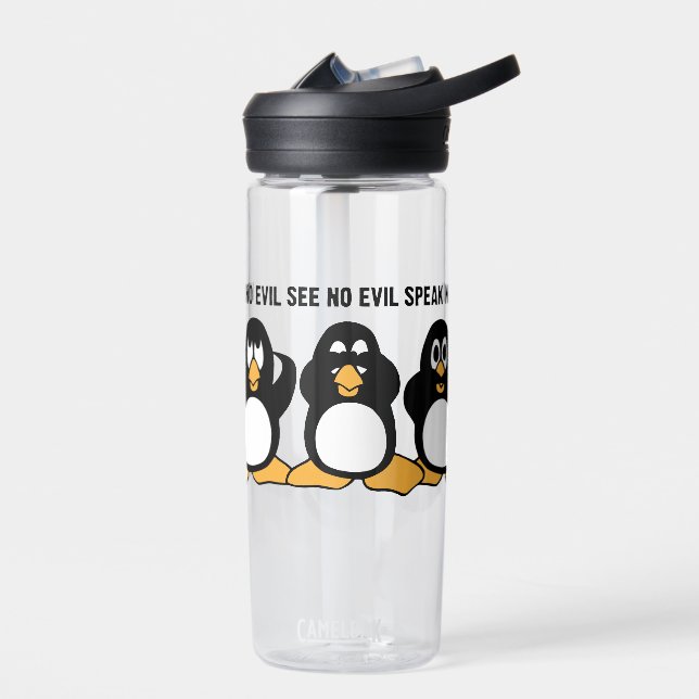 Bouteille D'eau Trois Pingouins Sages CamelBak Eddy (Gauche)