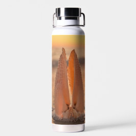 Bouteille D'eau Tumbler Thermique Coquilles d'Aile d'Ange