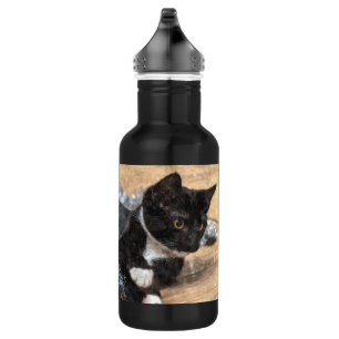 Bouteille D'eau Tuxedo Kitten Tinsel et lumières