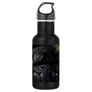 Bouteille D'eau yeux de noir-carlin