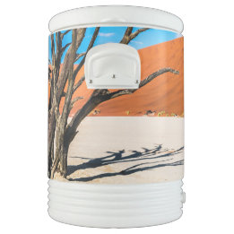 Bouteille Isotherme Arbre mort à Deadvlei, Namibie