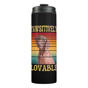 BOUTEILLES ISOTHERMES ABSOLUMENT MIGNON