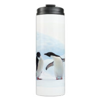 Adelie Penguins