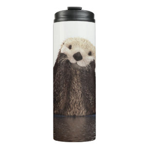 Bouteilles Isothermes Adorable Otter souriant dans le lac