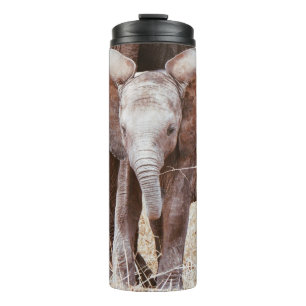 Bouteilles Isothermes Baby Elephant mignon Eléphant africain avec maman
