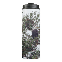 Bouteilles Isothermes Bald Eagle P2825