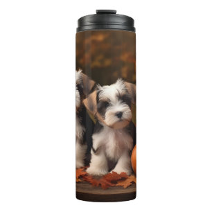 Bouteilles Isothermes Biewer Terrier Chiot Automne Citrouille délice