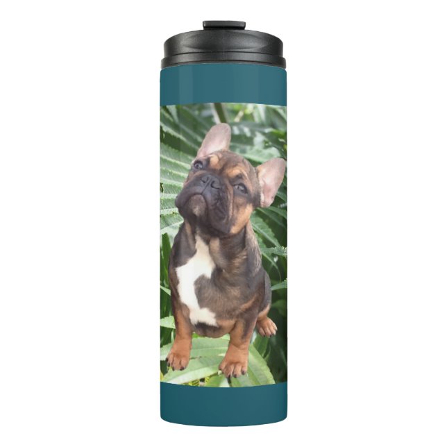 Bouteilles Isothermes Bouledogue français Fleurs Bouledogue français  (Devant)