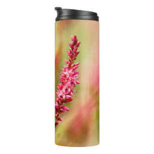 Bouteilles Isothermes buisson de couleur