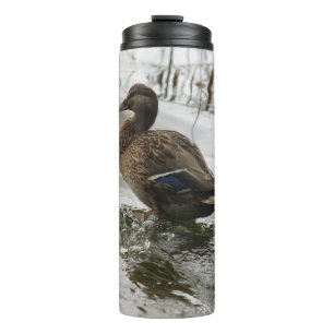 Bouteilles Isothermes Canard gris sur le lac sombre