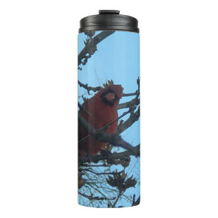 Bouteilles Isothermes Cardinal
