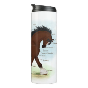 Bouteilles Isothermes Carte anatomique du Cheval de Baie Clydesdale