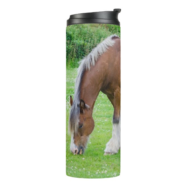 Bouteilles Isothermes Chaleur de cheval (Tourné sur la gauche)