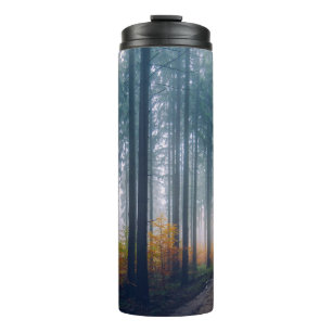 Bouteilles Isothermes Chemin bordé d'arbres forestiers majestueux