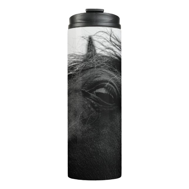 BOUTEILLES ISOTHERMES CHEVAL NOIR (Devant)