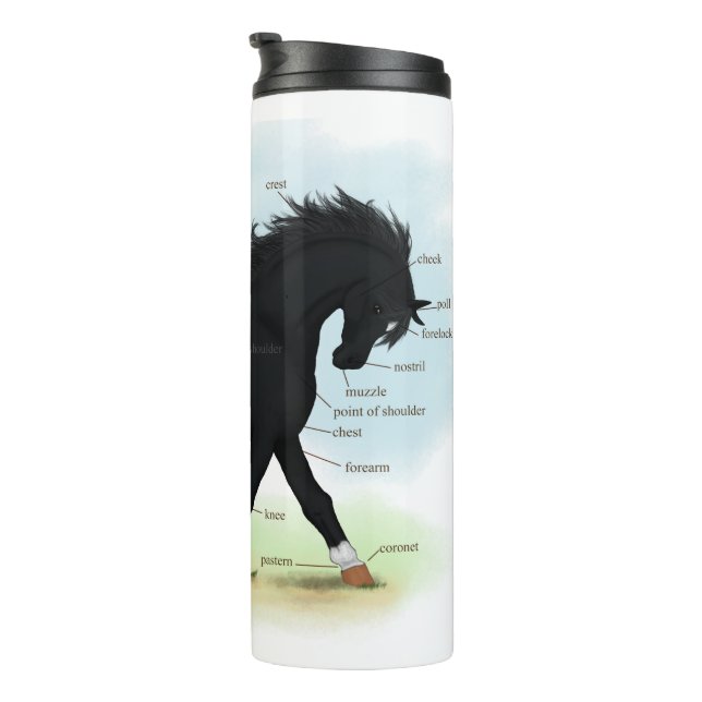 Bouteilles Isothermes Cheval noir avec carte d'anatomie Star & Sock (Tourné sur la droite)