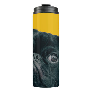 Bouteilles Isothermes chien jaune