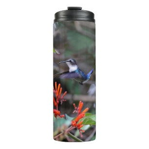 Bouteilles Isothermes Colibri en vol et fleurs rouges