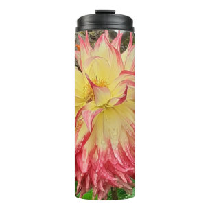 Bouteilles Isothermes Dahlia rose et jaune