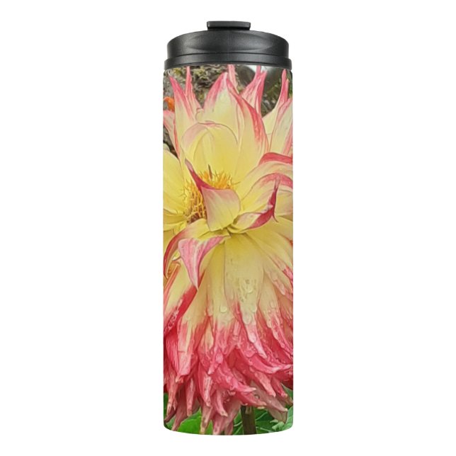 Bouteilles Isothermes Dahlia rose et jaune (Devant)