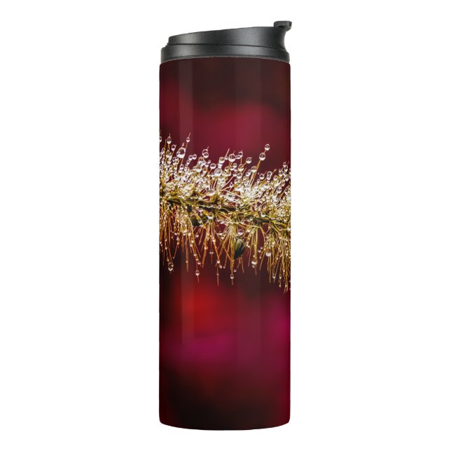Bouteilles Isothermes Dew du matin (Tourné sur la gauche)