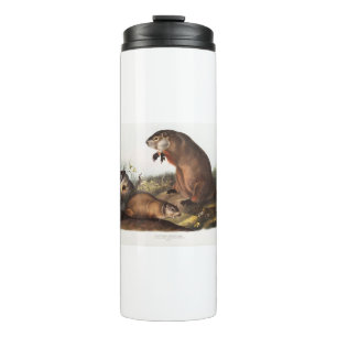 Bouteilles Isothermes Dons Boodchuck Camping Deco