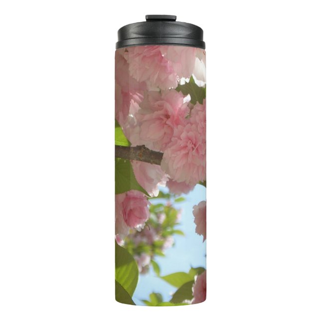 Bouteilles Isothermes Double floraison cerisier III printemps fleuri (Devant)