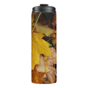Bouteilles Isothermes Fallen Maple Feuille Jaune Automne Nature