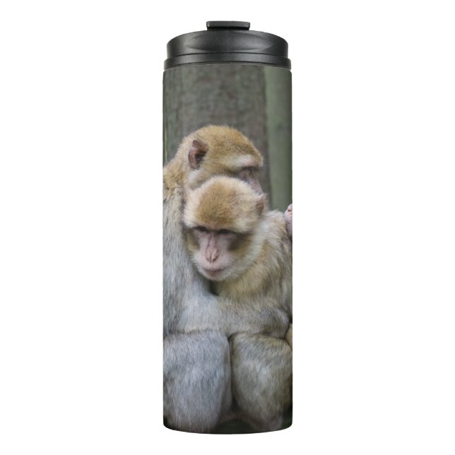 Bouteilles Isothermes Famille Cute Ape Photo Hug (Devant)