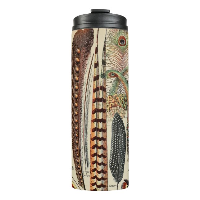 Bouteilles Isothermes Feather Bird Wildlife Plumes d'antiquités (Devant)