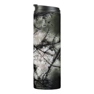 Bouteilles Isothermes Fermeture